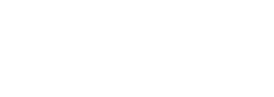 FN Brno